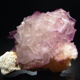 Fluorite
6.8 x 9.1 cm
(Autor: Michael Shaw)