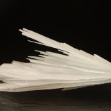 Celestine
3.1 x 8.2 cm
(Autor: Michael Shaw)