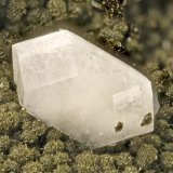 Levyne
FOV = 2.6 mm
(Autor: Doug)
