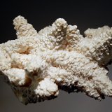 Benstonite
6.3 x 9.5 cm
(Autor: Michael Shaw)