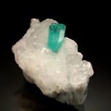 Beryl
2.0 x 2.1 x 4.0 cm
(Autor: Michael Shaw)