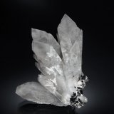Barite
7.7 x 8.0 cm
(Autor: Michael Shaw)