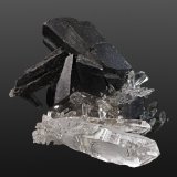Hübnerite and Quartz
50 x 50 x 40 mm
(Autor: Rob Schnerr)