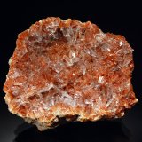 Celestine
5.3 x 6.2 cm
(Autor: Michael Shaw)
