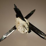 Aegirine
5.3 x 6.5 cm
(Autor: Michael Shaw)