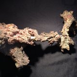 Copper
240 mm x 140 mm x 100 mm
(Autor: Robert Seitz)
