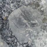 Gmelinite
FOV = 2.7 mm
(Autor: Doug)