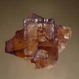 Fluorite
4.5 x 5.2 cm
(Autor: Michael Shaw)