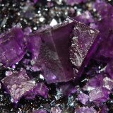 Fluorite
6.2 x 8.5 cm
(Autor: Michael Shaw)