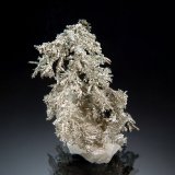 Silver
2.5 x 3.5 cm
(Autor: Michael Shaw)