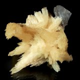 Calcite
7.9 x 8.3 cm
(Autor: Michael Shaw)