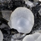 'Thomsonite'
FOV = 1.3 mm
(Autor: Doug)