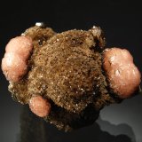 Olmiite
3.6 x 4.7 cm
(Autor: Michael Shaw)