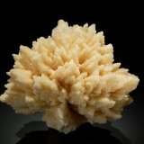 Calcite
3.5 x 5.0 x 5.0 cm.
(Autor: Michael Shaw)