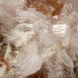 Calcioancylite-(Ce)
FOV = 2mm
(Autor: Doug)