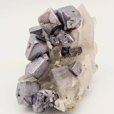 Galena, Quartz, Chalcopyrite
Overall size: 76 mm x 71 mm. Largest crystals: galena 14 mm on edge, quartz mm 38 tall, chalcopyrite ~4 mm on edge. Mass (weight): 214 g.
(Autor: Carles Millan)