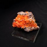 Wulfenite
55 mm x 50 mm x 40 mm
(Autor: Robert Seitz)