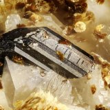 Allanite-(Ce)
FOV = 0.9 mm
(Autor: Doug)