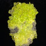 Pyromorphite
95 mm x 60 mm x 35 mm
(Autor: Robert Seitz)