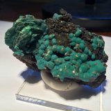 Malachite, Chrysocolla, Wulfenite
65 X 40 X 30 mm
(Autor: Robert Seitz)