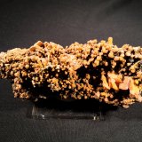 Mimetite, Wulfenite
115 mm x 60 mm x 45 mm
(Autor: Robert Seitz)