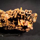 Mimetite, Wulfenite
115 mm x 60 mm x 45 mm
(Autor: Robert Seitz)