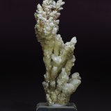Aragonite
166 x 60 x 45 mm
(Autor: Rob Schnerr)