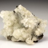 Aragonite
7.0cm x 5.0cm
(Autor: rweaver)