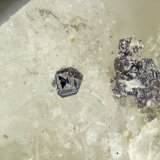 Loparite-(Ce)
FOV = 1.5mm
(Autor: Doug)