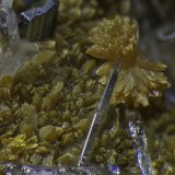 Orpiment, Baryte, Hutchinsonite
FOV appr. 5 mm
(Autor: Rob Schnerr)