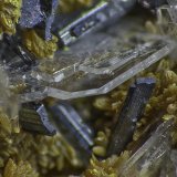 Orpiment, Baryte, Hutchinsonite
FOV appr. 5 mm
(Autor: Rob Schnerr)