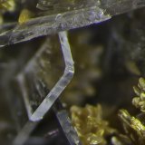 Orpiment, Baryte, Hutchinsonite
FOV appr. 5 mm
(Autor: Rob Schnerr)