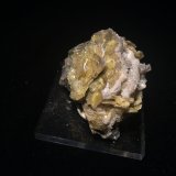 Wulfenite
55 X 40 X 30 mm
(Autor: Robert Seitz)