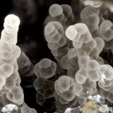 Thomsonite
FOV = 3.6 mm
(Autor: Doug)