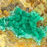 Cornwallite
FOV = 3.0 mm
(Autor: Doug)
