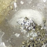 Beryllonite
FOV = 2mm
(Autor: Doug)