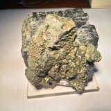 Galena, Pyrite
78 mm x 68 mm x 63 mm
(Autor: Robert Seitz)