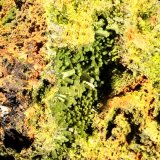 Pyromorphite
90 mm x 75 mm x 60 mm
(Autor: Robert Seitz)