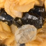 Sphalerite, Siderite, Quartz
(Autor: Doug)