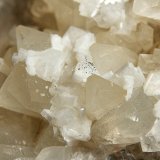 Baryte, Calcite 
Field of view 25 mm
(Autor: Andy Lawton)