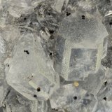 Epistilbite
FOV = 3.2 mm
(Autor: Doug)