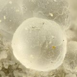 Erionite
FOV = 1.5 mm
(Autor: Doug)