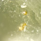 Andradite
FOV = 2mm
(Autor: Doug)