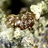 Labuntsovite-(Mn)
FOV = 2mm
(Autor: Doug)