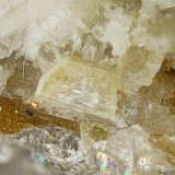 Petersenite-(Ce)
FOV = 2mm
(Autor: Doug)