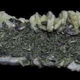 Albite (variety pericline)
75 x 40 x 35 mm
(Autor: Rob Schnerr)