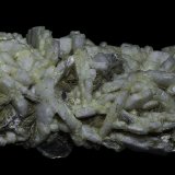 Albite (variety pericline)
75 x 40 x 35 mm
(Autor: Rob Schnerr)