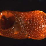 Chalcedony
(Autor: Michael Shaw)