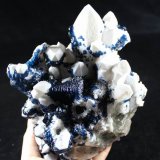 Blue Fluorite on Quartz
Size: 21*15*11.5cm      Weight:2925g
(Autor: Xueyan Jin)