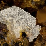 Baryte
FOV = 1.4 mm
(Autor: Doug)